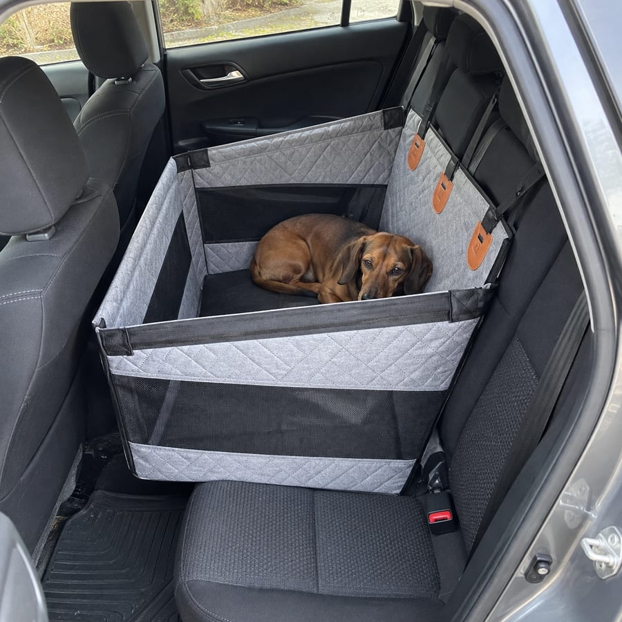 Dachshund curled up in the smaller grey pet travel seat.