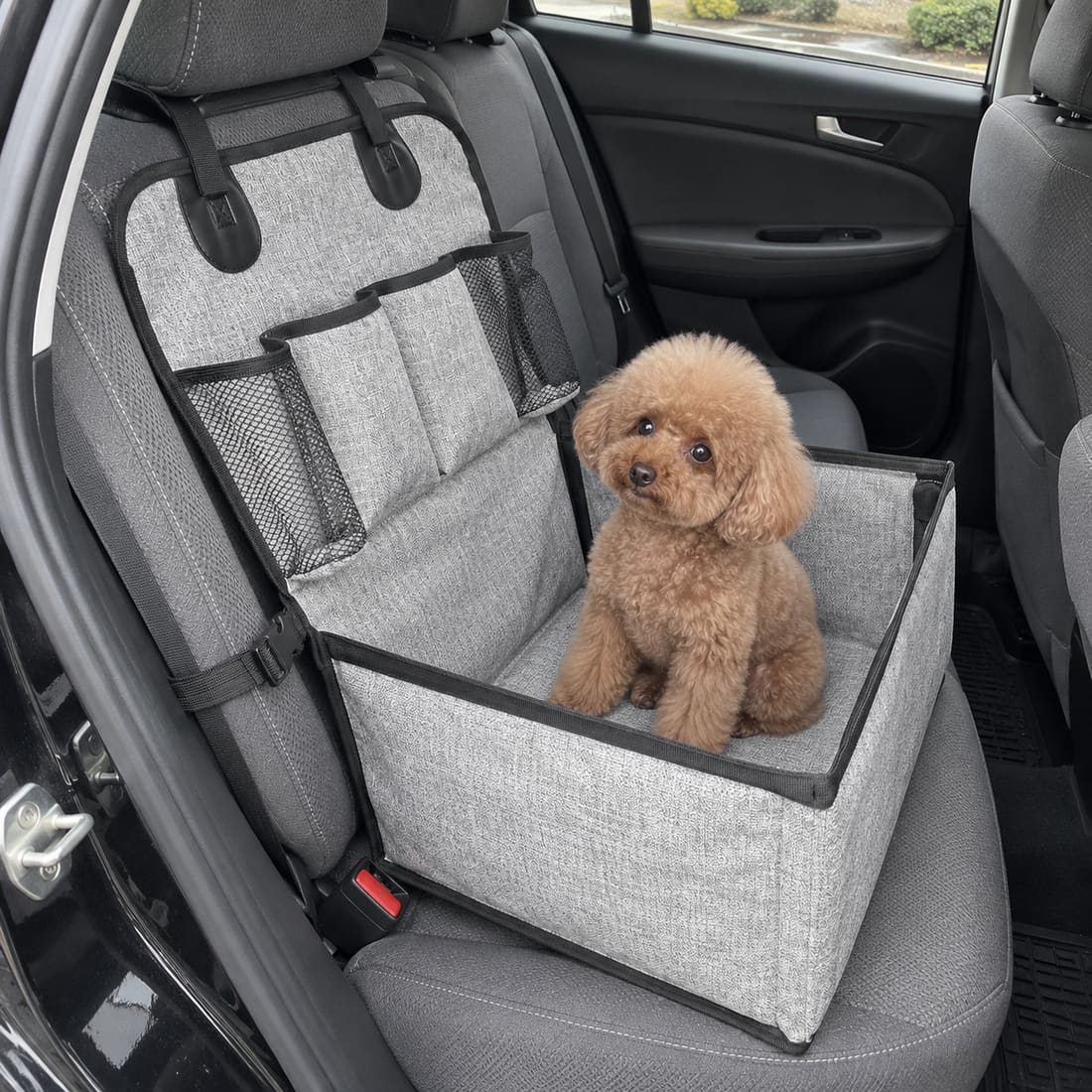 Small dog in a fabric basket in a parked car