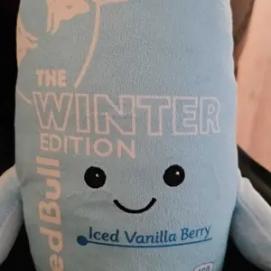 Original customer photograph of the Winter Blue plush showing its smiling face.