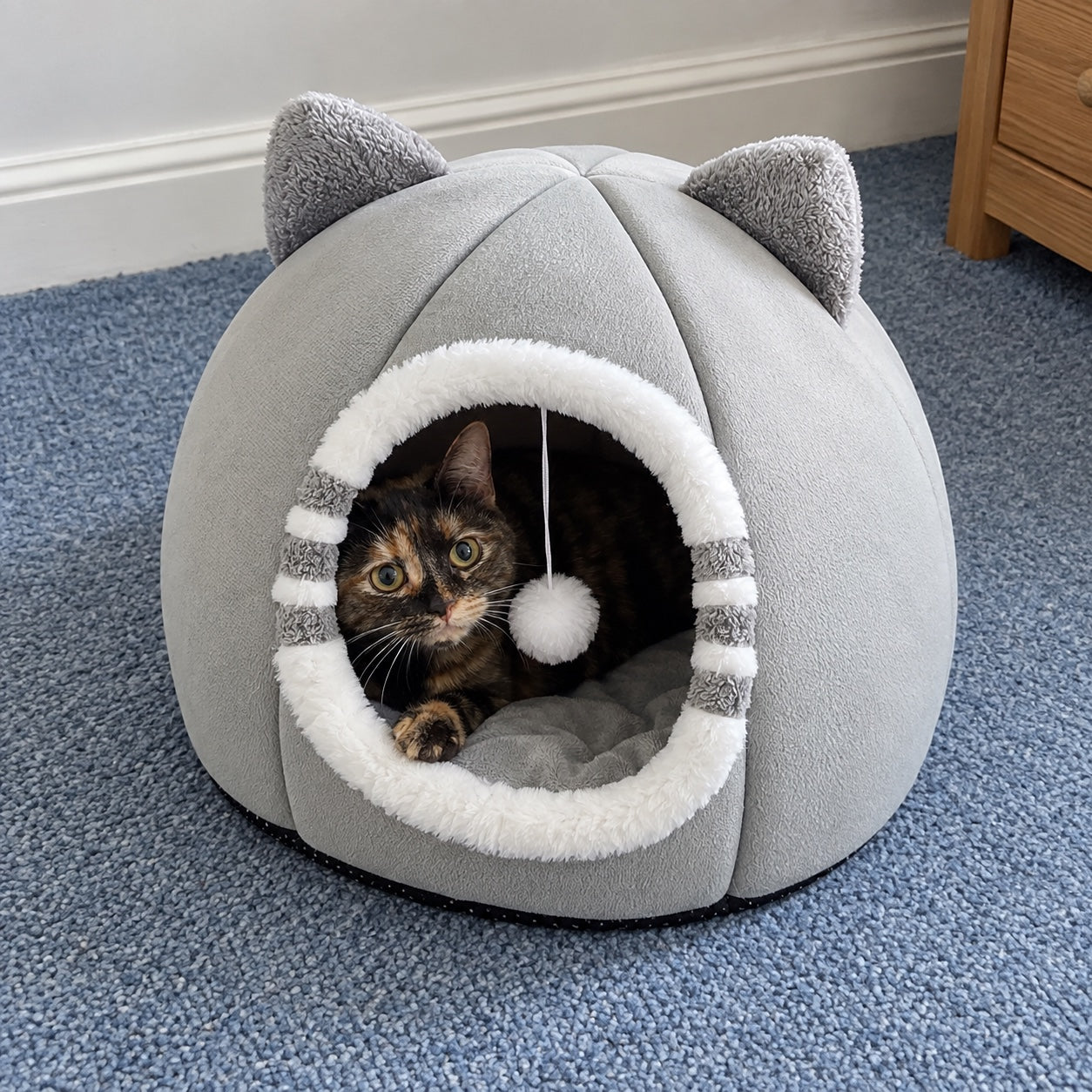 Tortoiseshell cat peeking from the grey cave on blue carpet.