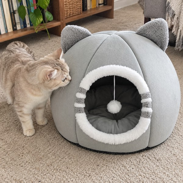 Small cream tabby looking into the complete grey cave at home.