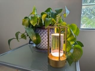 Customer photo: a gold lantern beside a houseplant.
