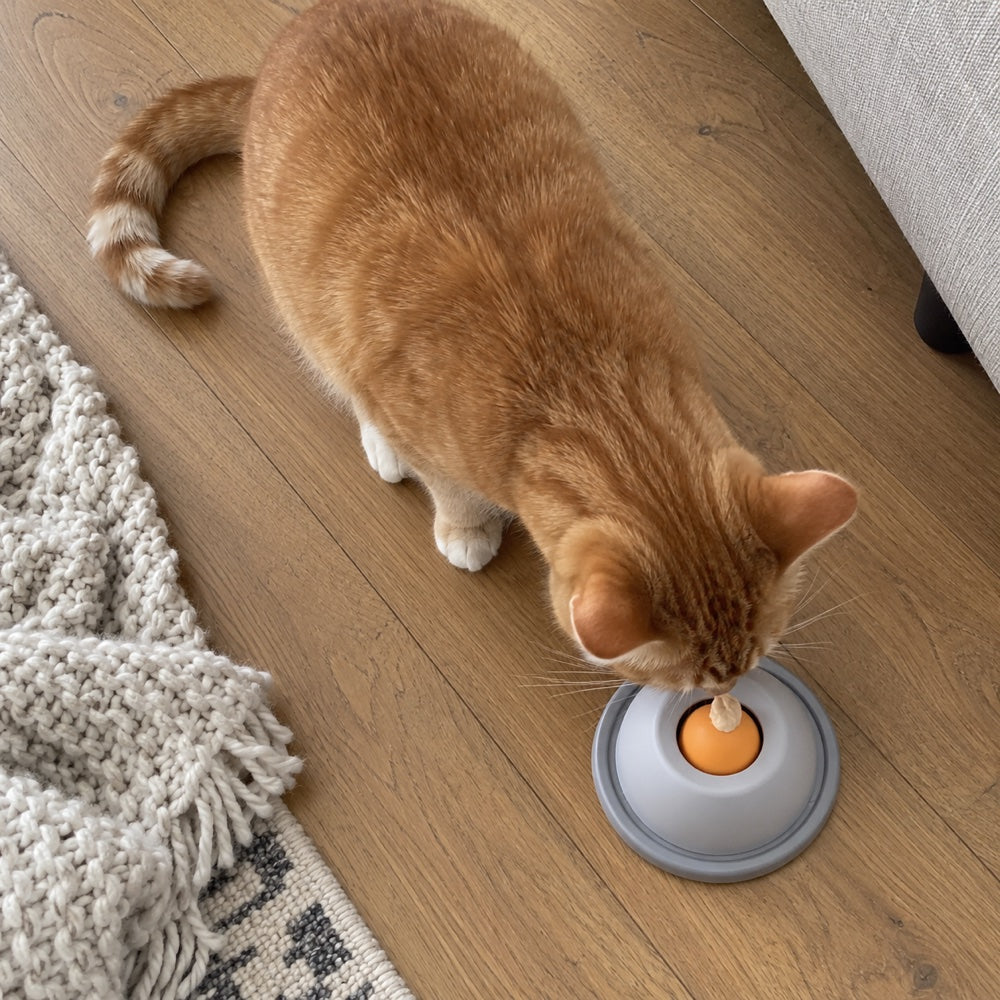 overhead view of a ginger cat and the complete Grey treat bowl on a wood floor.