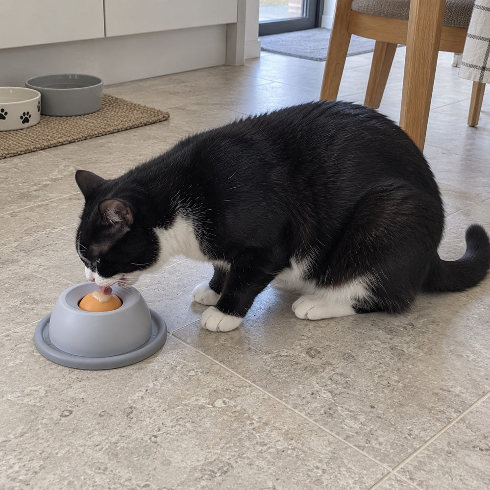 wider side view of a tuxedo cat licking the Grey bowl on a kitchen floor.