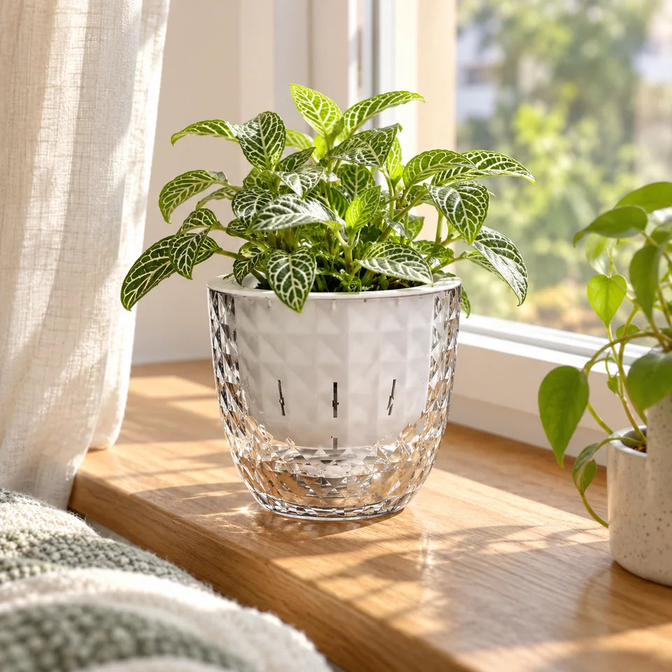 Clear Self-Watering Planter — Customer photo 1