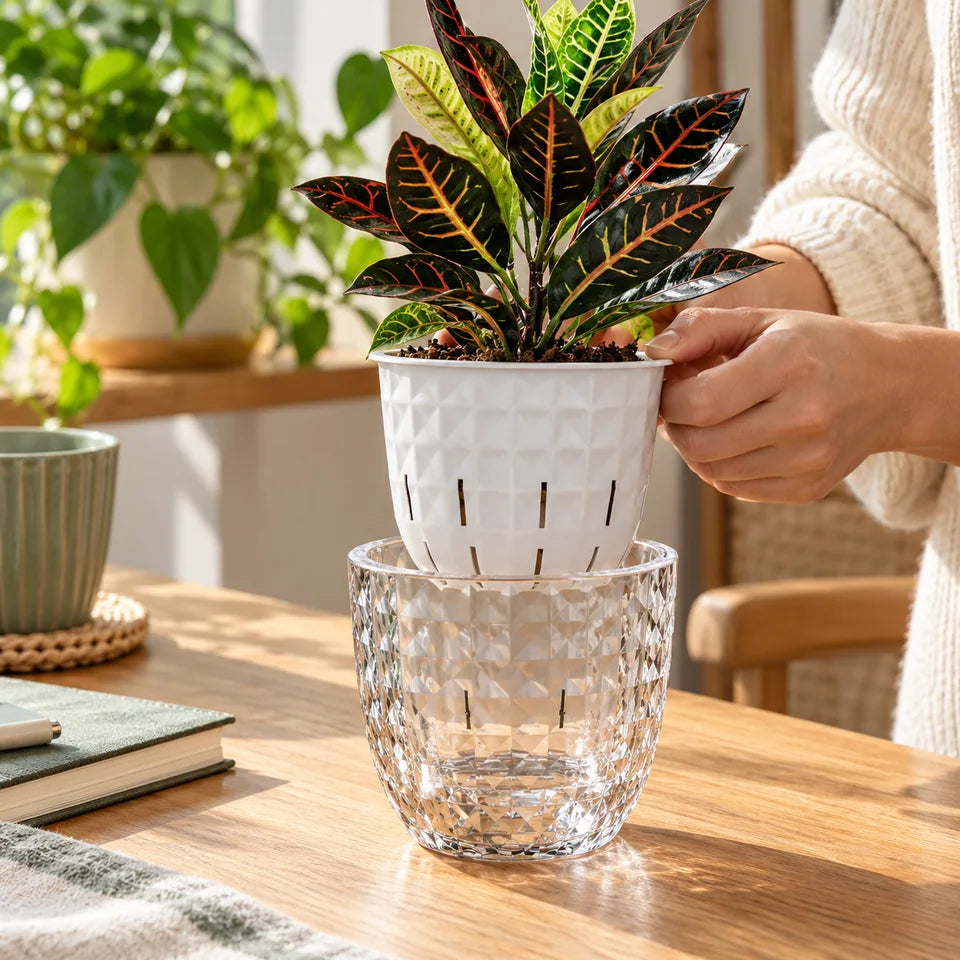 Clear Self-Watering Planter — Customer photo 5
