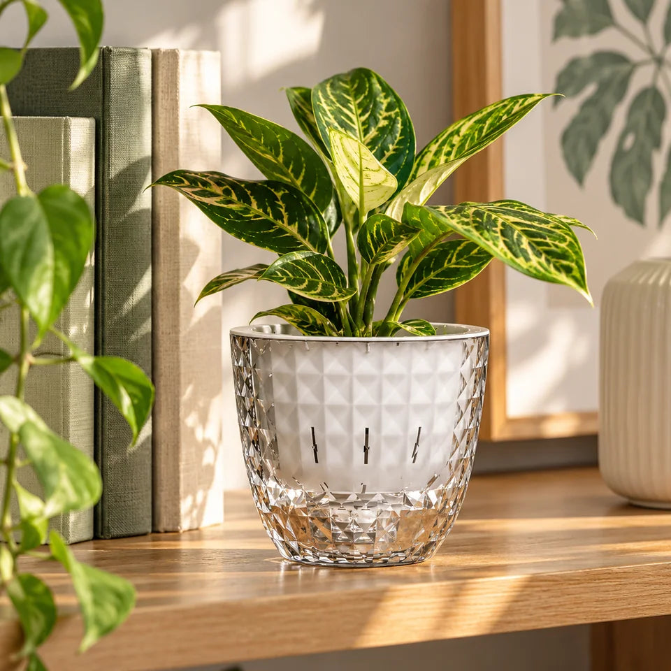 Clear Self-Watering Planter — Customer photo 6
