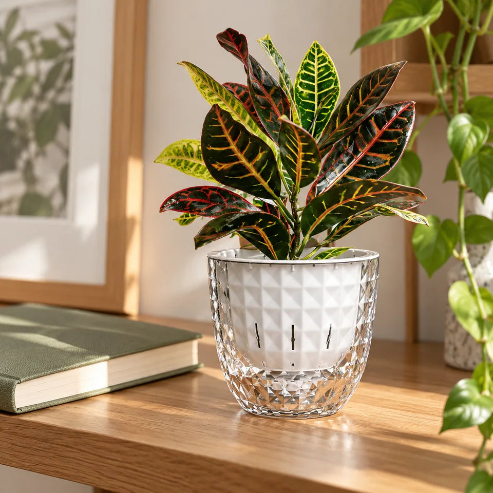 Clear Self-Watering Planter — Customer photo 10