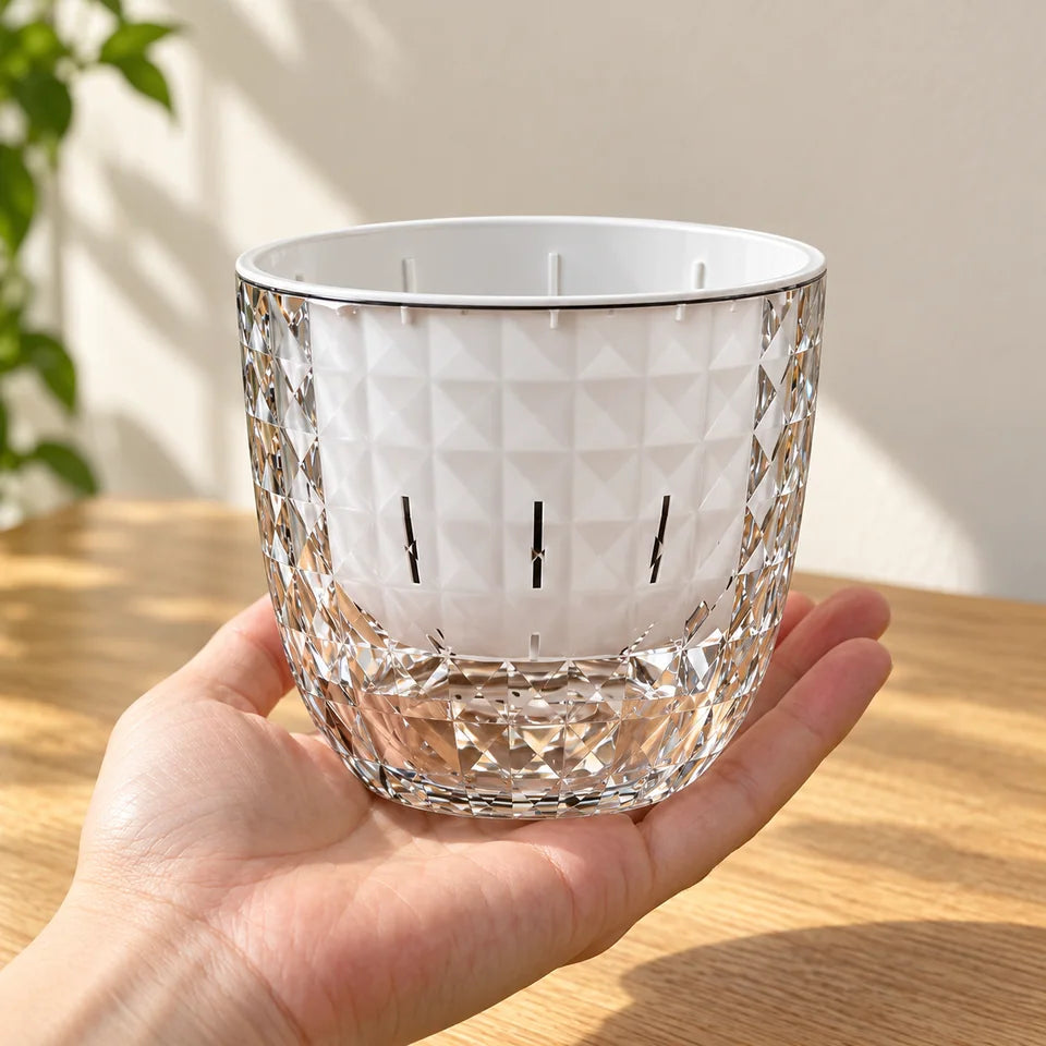 Clear Self-Watering Planter — Customer photo 11